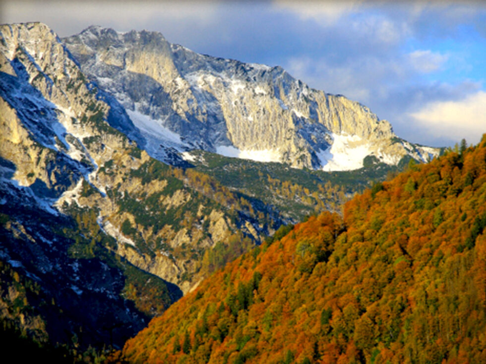 Copyright: Kalkalpen (Presse) Buchenwälder©Nationalpark Kalkalpen_Mayrhofer